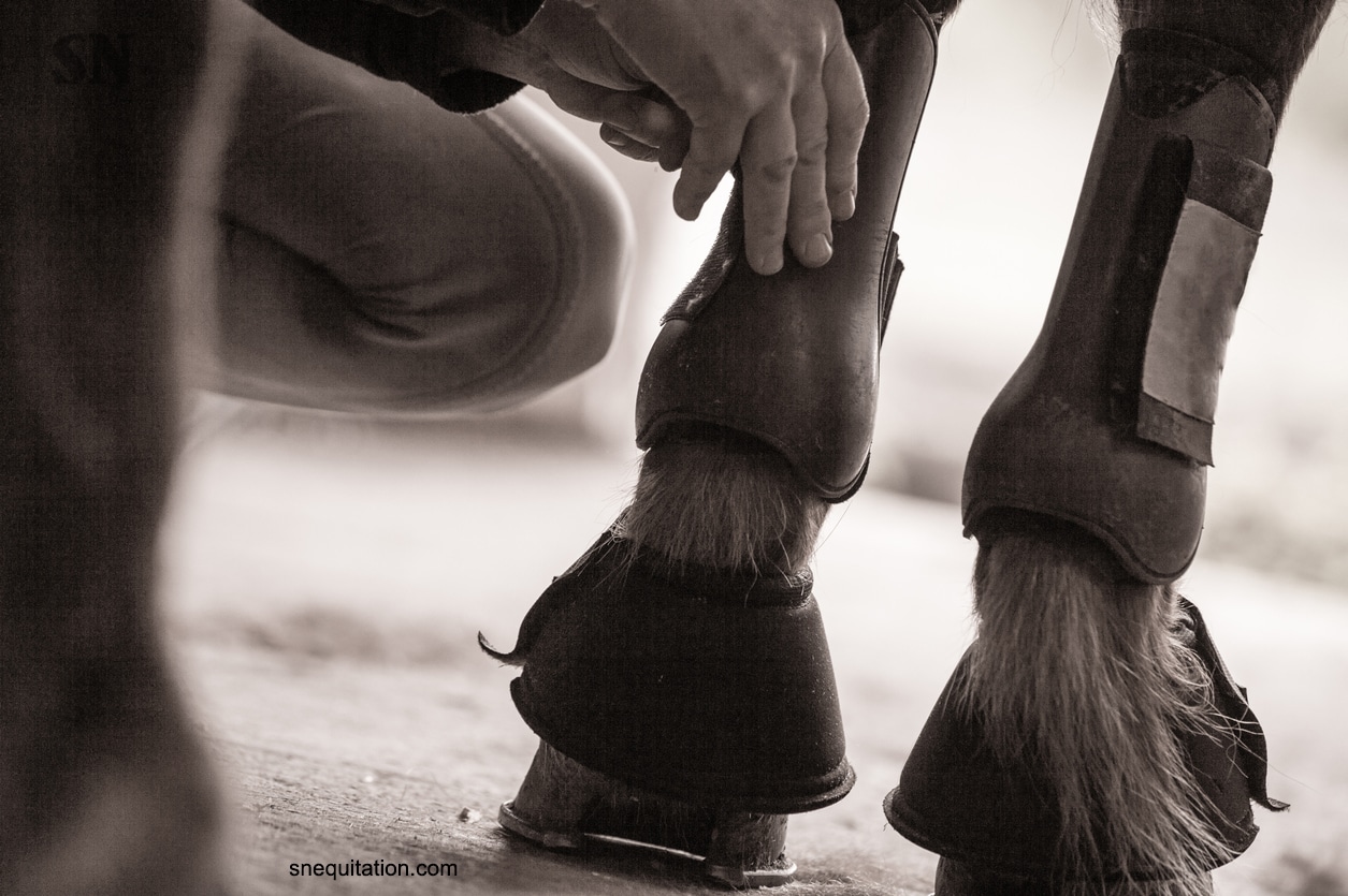 Guêtres d'équitation dressage Horseware Classic