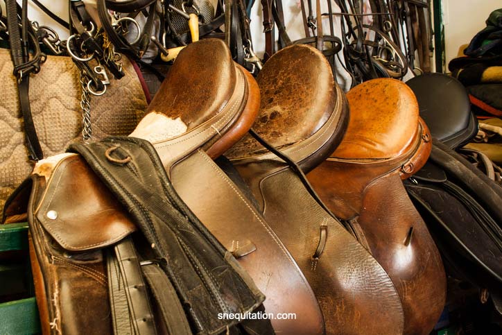 Les selles en cuir sont un élément incontournable de l'équipement du cheval