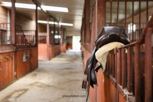 Pourquoi utilise-t-on toujours des selles en cuir?