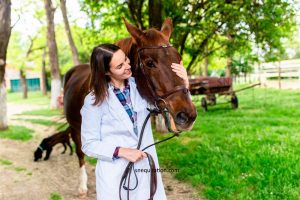 Pourquoi l’ostéopathie équine est plus importante que ce que vous croyez