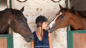 Comment faire connaissance avec son cheval
