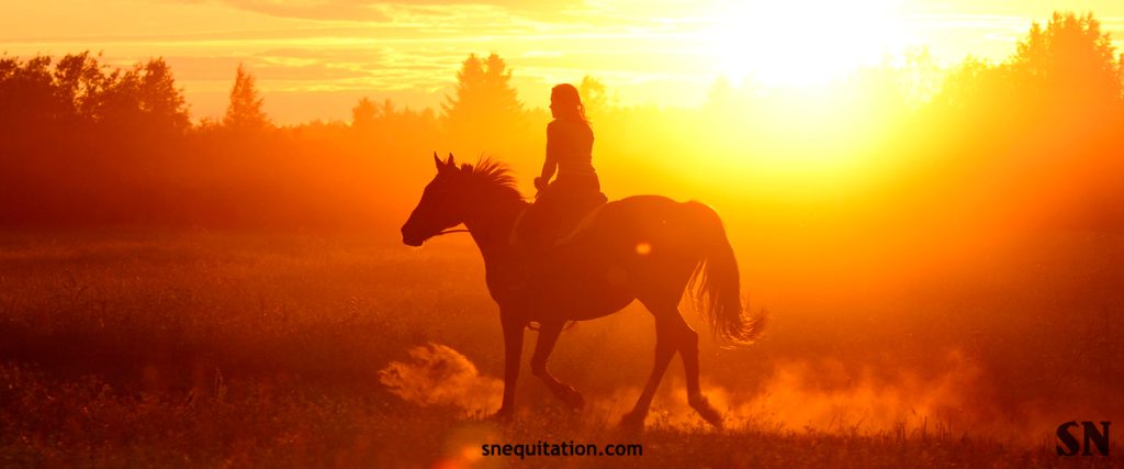 Guide des bonnes pratiques d'équitation en cas de fortes chaleurs