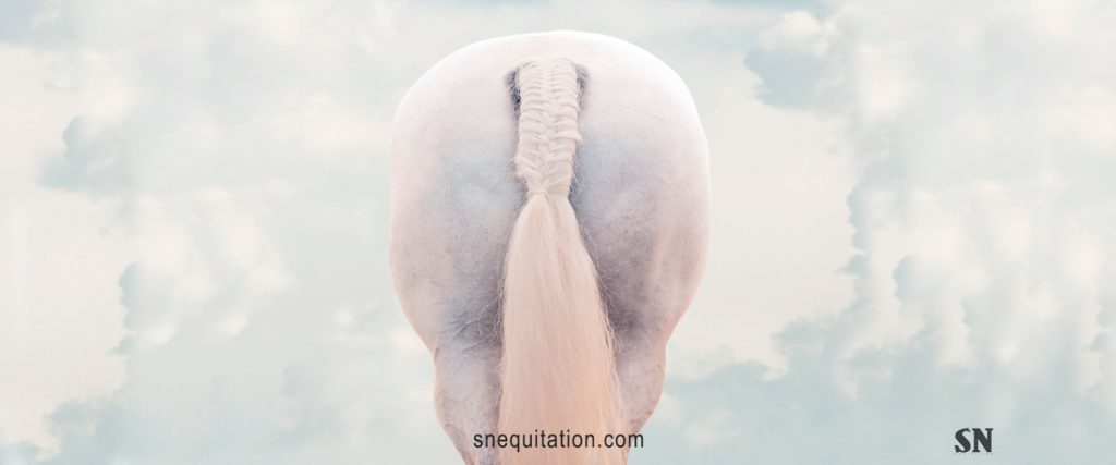 Pourquoi et comment prendre soin de la queue de mon cheval ?