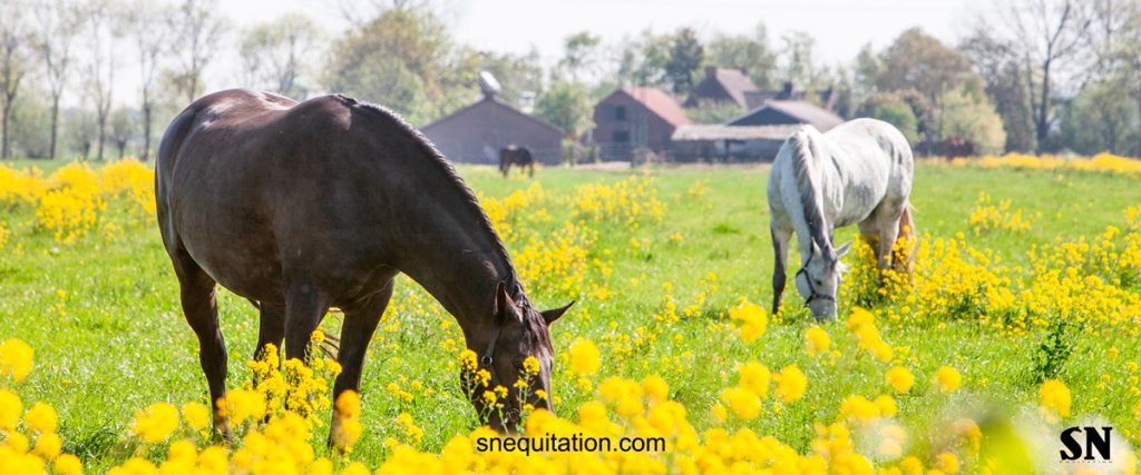 Quelques conseils essentiels pour bien accueillir le printemps !