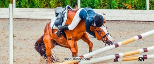 Comment éviter au maximum les blessures en cas de chute de cheval ?
