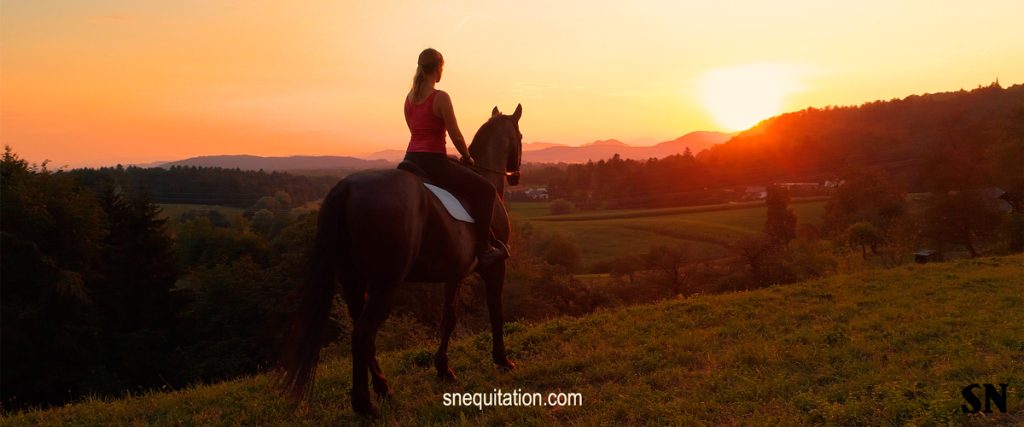 Comment préparer mon cheval à un long trajet ?