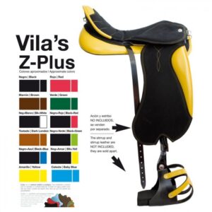 Zaldi Vila&rsquo;s Raid