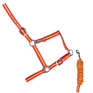 Bridon Caveçon + Rêne 6886