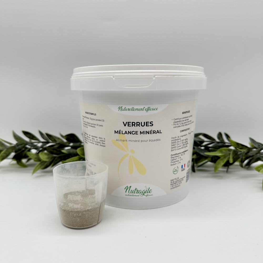 Complément alimentaire verrues Nutragile – Image 2